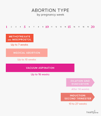 Types Of Abortion By Trimester What To Expect And Resources