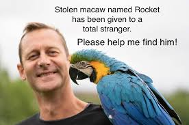 PLESE RE-POST, he is somewhere in England! My beloved companion animal, a  free-flighted blue and gold macaw named Rocket has been stolen by my ex  partner and given away to an unknown