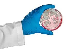 OCWR - Indoor Air Quality: Mold