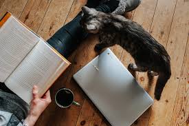 Descarga ahora la ilustración chico y chica leyendo un libro de estar. Gato Caminando A Traves De La Computadora Portatil Cerca De La Mujer Leyendo El Libro Blanco Acostado En El Piso Fondo De Pantalla Hd Peakpx