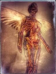 We did not find results for: In Utero Inspired Nirvana