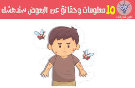البعوض من الحشرات المزعجة التي تلاقي الكثير من المكافحة حول العالم فهي تستمد طاقتها من الدماء التي تتغذى عليها من خ Family Guy Fictional Characters Character