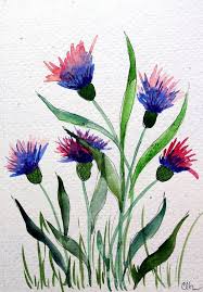 Watercolor Card Bachelor Buttons Hand Painted By Artworkseclectic 4 75 Loose Watercolor Flowers Watercolor Cards Hand Painted Card