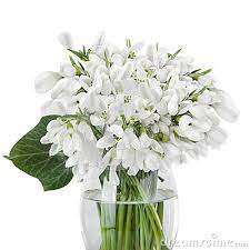 Snowdrop Bouquet Google Search Snow Drops Flowers Glass Vase Flower Art
