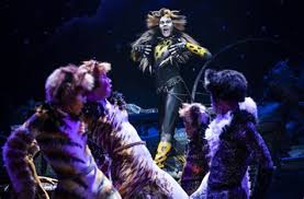 Let the memory live again: Cats Broadway Cast 2016 Cats Is Coming Back To Broadway Vulture Jessica Hendy Christopher Gurr Cory John Snide And Hailei Call From The Cast And Crew Of The 2016