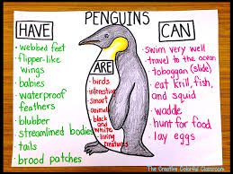 penguin anchor chart penguins artic animals