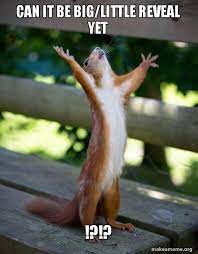 Can It Be Big Little Reveal Yet Happy Squirrel Make A Meme