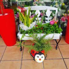 We did not find results for: Marieta Floristes Floristeria En Sabadell Enjoysabadell Com