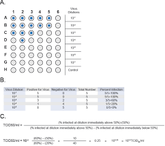 Image result for Neutralization Test