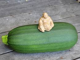 How to julienne a zucchini. Not A Zucchini Gardening Nirvana