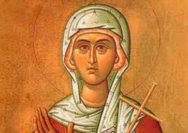 Image result for Eulalia aurea