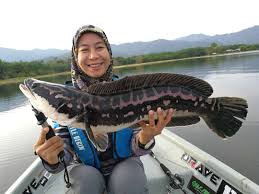 Selangor darul ehsan sendiri adalah kota yang letaknya mengelilingi dataran putrajaya dan kuala lumpur malaysia. 14 Tasik Port Memancing Pakej View Best Di Malaysia Kaki Pancing Hobi Koleksi Forum Cari Infonet