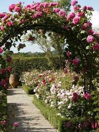 English Rose Garden Beautiful Gardens Garden Inspiration English Roses