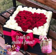 Urari crestine la multi ani! Mesaje UrÄri Zi De Nastere Flori Startseite Facebook