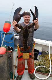 Jumbo lobster tails (16 to 20 oz.) $290.00 per 10 pound box. 8 Oldest Lobsters In The World Oldest Org