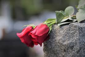 What to write in a sympathy card video; Sincerest Condolences What To Write On A Condolence Card