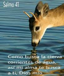 Pin De Adita Sanchez En Citas Biblicas Salmo 41 Salmos Imagenes Religiosas