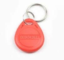 TK4100 EM4100 125KHz RFID Badge Key Fob