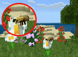 Make sure you have optifine installed and working correctly. Bee Texture Minecraft Pe Texture Packs