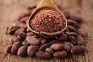 Cocoa | Description, History, Processing, & Products | Britannica