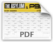 insanity asylum workout calendar