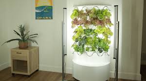 How to have an indoor vegetable garden. This Indoor Garden Grows Up To 30 Fruits And Vegetables With Little Maintenance Required Mental Floss