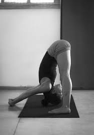 Yogibe Yoga Pictures Beautiful Yoga Yoga Asanas