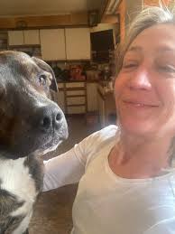 Blue has been missing from Lancaster SC near the Chesterfield County line  for several months. He is a blue tick coon hound. Blue is a family pet.  Friendly If you see Blue