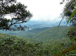 Gunung nuang hulu langat, hulu langat, selangor, malaysia. Gunung Nuang Selangor Malaysia Alltrails