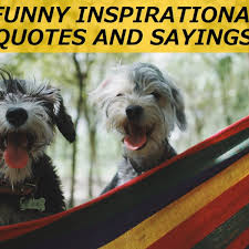 Sometimes, at work we need a bit of humor or a smile to relieve the stress and demands of the workplace. 100 Funny Inspirational Quotes And Sayings Letterpile