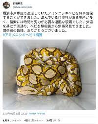 ル 調教 痴漢 ハメ撮り 変態 無理やり中出し 母子相姦 ガチレイプ フェラ アニメ ナンパ 明日花キララ 麻美ゆま レズ m男 三上悠亜 痴女 ntr 肉便器 潮吹き. Dopl Lso2jewzm