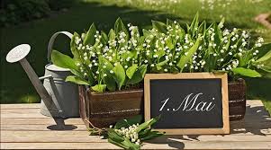 Qu'il se mette à pleuvoir et le programme mûrement préparé durant la semaine est compromis. En Mai Fais Ce Qu Il Te Plait Pour La Vente De Muguet Aussi Immonot Com