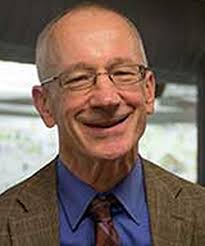 Whisker simulation gives insight into mammals' sense of touch