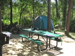 Camping is a great way meet other people who enjoy the outdoors. 5 Free Camping Sites In Florida Flavorverse