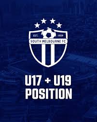 We caught up with Danielle Micallef yesterday after our disappointing  result at Bulleen. Despite the result, it was great to see our skipper come  onto the park and contribute in the second