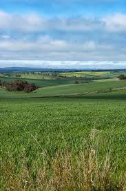 Pent7093 Jpg Australia Landscape City Of Adelaide Australia Travel