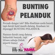 Pantat anjing mini pom tersembunyi di balik bulu ekornya yang lebat. Coway Cheras Apakah Dimaksudkan Dengan Bunting Pelanduk Facebook