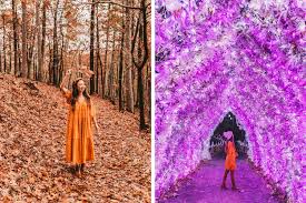 Maybe you would like to learn more about one of these? 7 Top Things To Do In Hot Springs Arkansas A Taste Of Koko