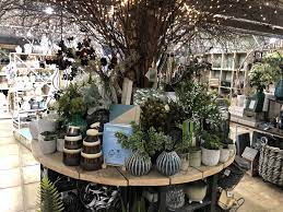 The Garden Society Indoor Plant Display Garden Garden Center