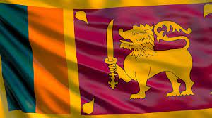 This is a list of flags used in sri lanka. 146 Best Flag Of Sri Lanka Images Stock Photos Vectors Adobe Stock