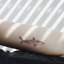 Check spelling or type a new query. Single Needle Shark Tattoo On The Inner Forearm