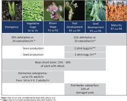 Establish economic thresholds, that is, the pest population or disease incidence levels that cause losses in crop value that exceed the cost of pest management. Economic Thresholds In Soybean Integrated Pest Management Old Concepts Current Adoption And Adequacy Springerlink
