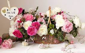 We did not find results for: How To Choose The Perfect Get Well Flowers For Anyone By Flower Hills Medium