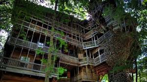 Rumah ini mempunyai luas tanah rumah yang terletak di sebuah lokasi rahasia di swiss ini di nobatkan sebagai rumah paling mahal dikarenakan bahan bangunan dan interior yang. Kisah Pria Membangun Rumah Pohon Terbesar Di Dunia Selama 15 Tahun Pos Belitung