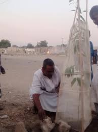 Camel's urine is effective in treatment of skin diseases like ringworm, tinea and abscesses, sores on body and dry and wet ulcers. Son Of Former Nigerian Minister Ali Monguno Pictured Drinking Camel Urine Says It S Good For Heart And Liver Problems