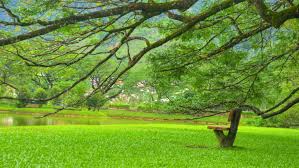 Maybe you would like to learn more about one of these? 10 Hotel Terbaik Di Taiping Harga Murah 2021 Dari Rm38 Ulasan Sebenar