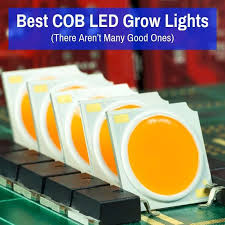 Best Cob Led Grow Lights There Aren T Many Good Ones Grow Light Info