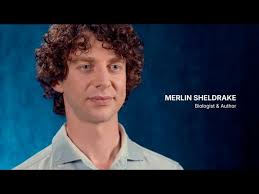 Voices of Meltingpot