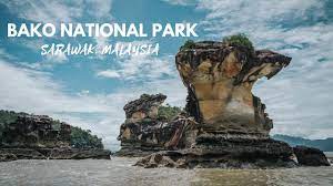 Rafflesia ialah bunga yang terbesar di dunia dan hanya pada tahun 1994 yang taman ini membuka pintunya kepada orang ramai, memberikan peluang. Bako National Park Taman Negara Bako 2019 Youtube