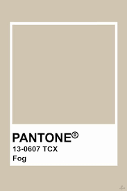 r2 ca 2019 pantone colour palettes beige color palette chart 7745 c